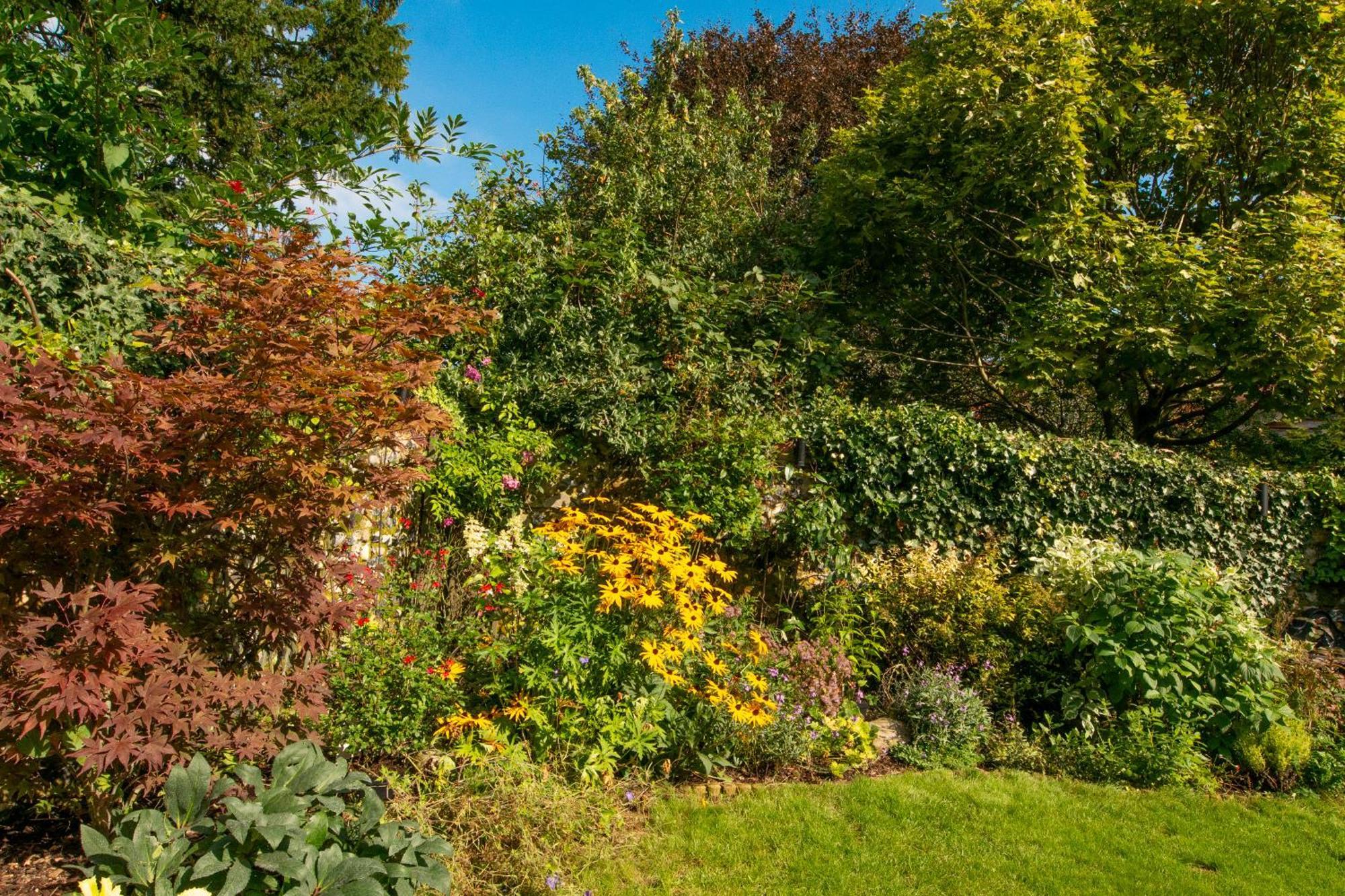 Miller Cottage A Luxury 1550'S Cottage In The Historic Centre Of Saffron Walden Exterior photo
